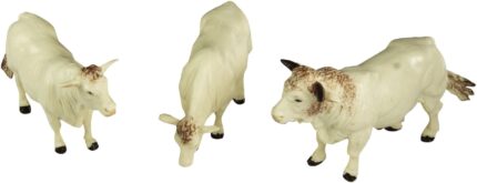 Lot de Taureau et Vaches Charolaises, 3 pièces – Image 3