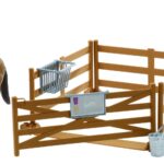 Coffret : Personnage avec cheval et accessoires