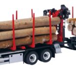 MAN TGX 6x4 Porteur et remorque forestière DOLL