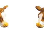 Vache brune et blanche couché, 2 pièces