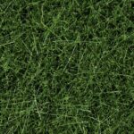 Fibre 6 mm : Herbe vert foncé, 100g