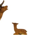 Famille de Cerfs, 3 pièces