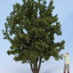 Arbre feuillu, hauteur 24 cm
