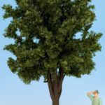 Arbre Fruitier, hauteur 30 cm