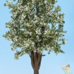 Arbre Fruiter en fleur, hauteur 30 cm