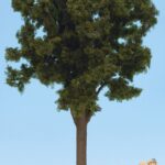 Arbre feuillu, hauteur 40 cm