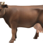 Vaches brunes