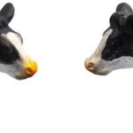 Vache couchée - noir et blanc, 2 pièces