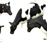 Lot de 4 vaches Holstein